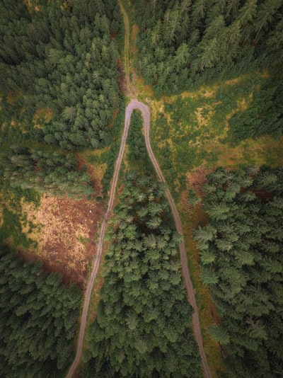 航空摄影的土路被树木包围在白天
